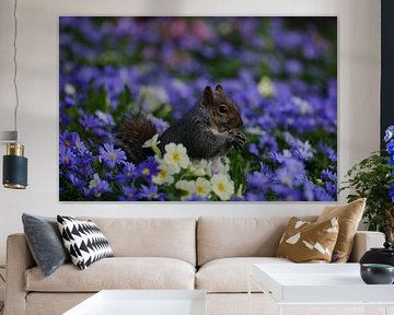Eichhörnchen in den Blumen von Anna Hogewoning