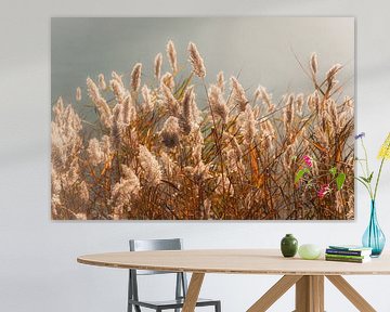 Whispering in the Light