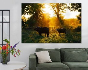 Golden Hour by FotovandeGraaff Wildlife fotografie Afrika