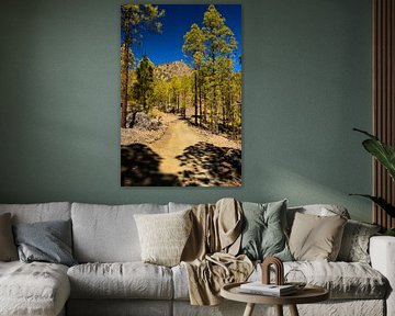 Lunar Landscape, Tenerife