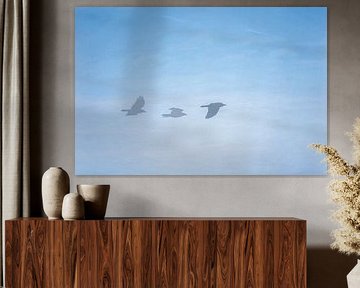 Flieg wie ein Adler 2 von SW Arts