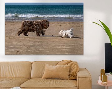 Großer und kleiner Hund treffen sich am Strand.