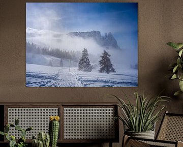 Alpe di Siusi - Sciliar and Santner Peak in the fog