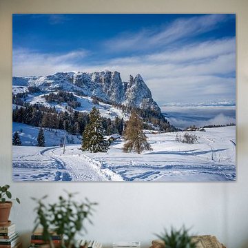 Alpe di Siusi - Sciliar and Santner Peak