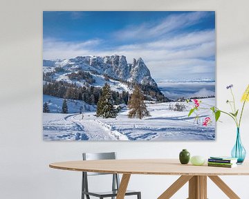 Alpe di Siusi - Sciliar and Santner Peak