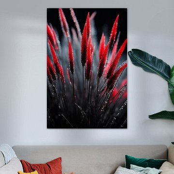 Red tips - grasses in the morning dew