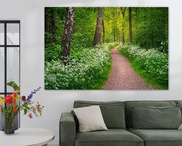Spring Forest Path with Blooming Cow Parsley by Friso Schinkel