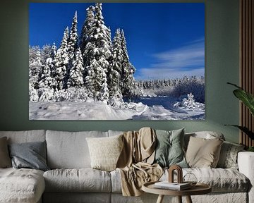 Een besneeuwd bos na de storm van Claude Laprise