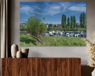 Jachthaven aan de Rijn in Leverkusen-Hitdorf