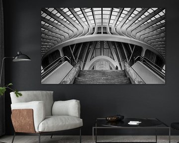 Canopy II van FrankB-Fotografie