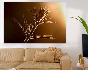 Cleavers in backlight