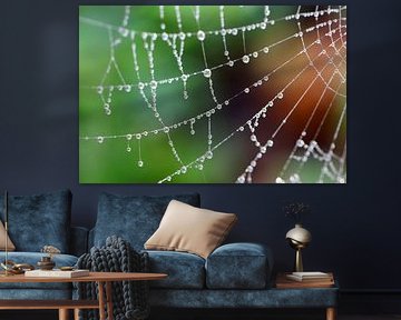 Spinnennetz mit Tautropfen von Linda de Klein