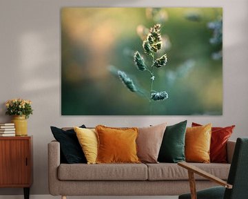 Graceful Reed Grass by Linda de Klein