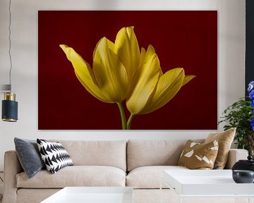 Samen in bordeauxrood: Twee gele tulpen van Marjolijn van den Berg