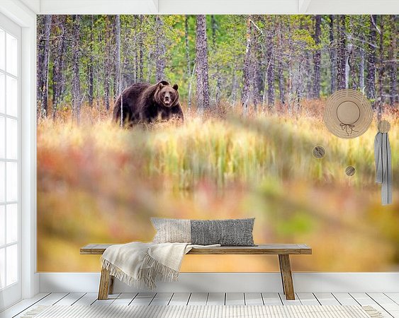 Aperçu de la chambre