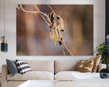 The course of nature