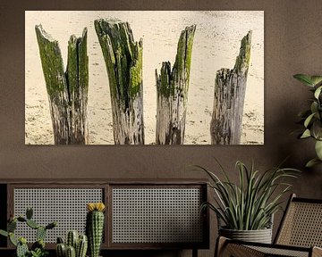 Colourful green beach posts on a Zeeland beach by Michel Seelen