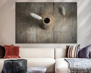 Plumes séchées sur une vieille planche usée par le temps