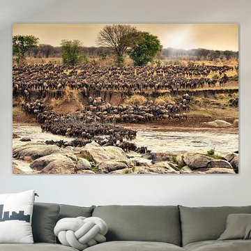  Kudde gnoes te steken op hun jaarlijkse migratie van de rivier de Mara