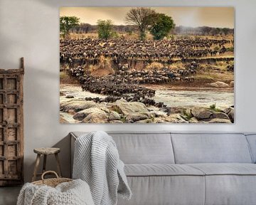  Kudde gnoes te steken op hun jaarlijkse migratie van de rivier de Mara