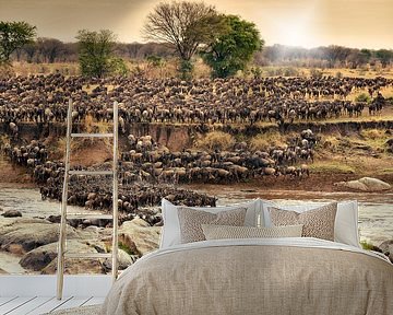 herd of  wildebeest crossing Mara River on annual migration by Jürgen Ritterbach