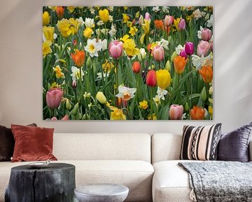 Frühling von Rob van der Wal