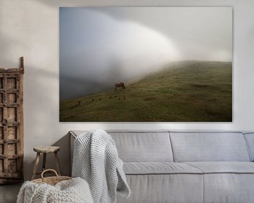 Ochtenden op Madeira