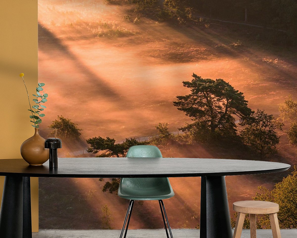 Raumvorschau