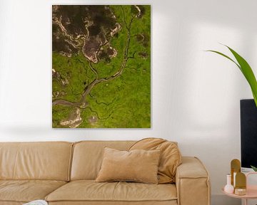 Green Veins of the Landscape by Ewold Kooistra