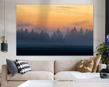 Sonnenaufgang über einem Wald in der Veluwe von Friso Schinkel