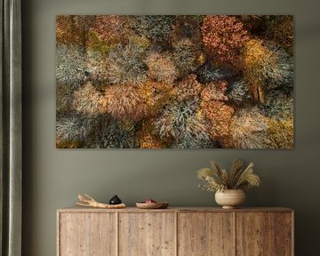 Kleurenzee in het bos