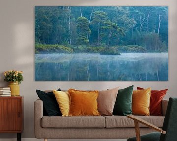 Blauwe stilte in het bos