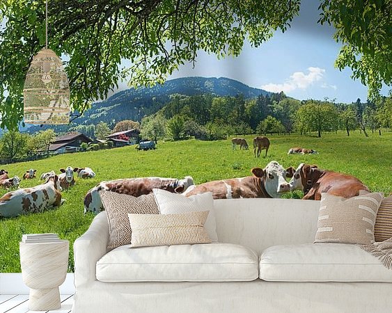 Raumvorschau