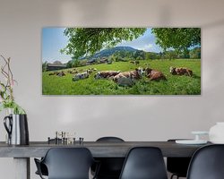Raumvorschau