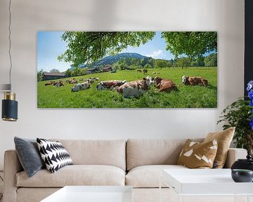 Kuhherde lagert auf einer grünen Weide von SusaZoom