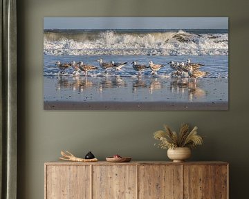 Panorama op het strand: De golven slaan om achter een groep zilvermeeuwen van Marjolijn van den Berg