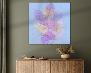 Silberblatt Pink Violett Gelb