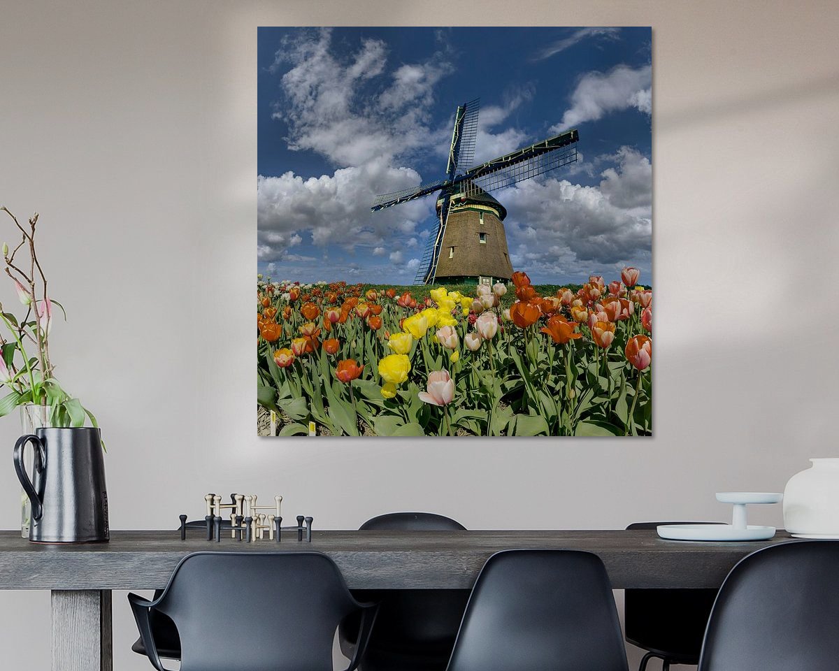 Raumvorschau