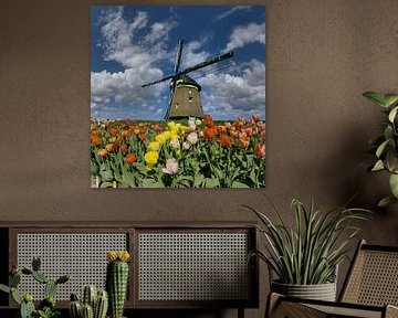 Windmühle auf Deich mit Tulpen im Vordergrund von Rene van der Meer