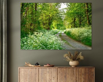 Chemin de campagne avec des ciguës