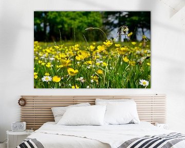Feld mit blühenden Butterblumen von Corinne Welp