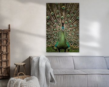 DIE MAJESTÄTISCHE AUSSTRAHLUNG von SILENT STILLNESS