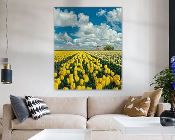 Champ de bulbes avec moulin