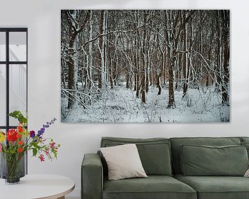 Verschneite Bäume im Wilhelminapark von Erwin van Kester