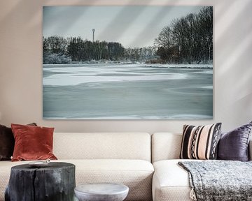 Verschneiter See im Wilhelminapark, Rijswijk von Erwin van Kester