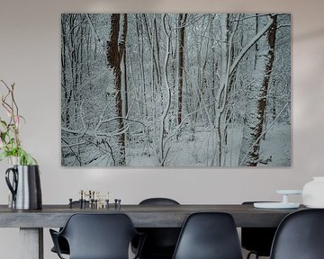 Verschneite Bäume im Wilhelminapark, Rijswijk von Erwin van Kester