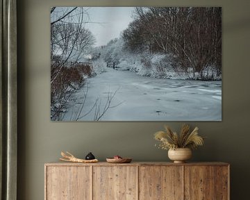 Verschneiter Graben im Wilhelminapark, Rijswijk von Erwin van Kester