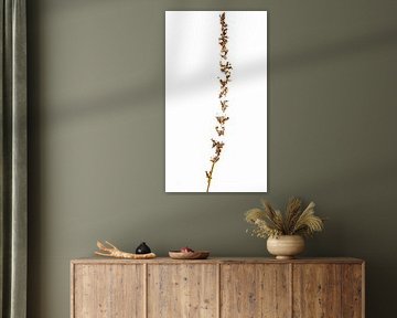 silence vertical sur celine Rachenberger