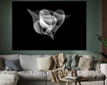 draagvlak van Willem  Overkleeft