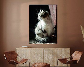 Stille Katze im Morgenlicht von Marijke Trienekens